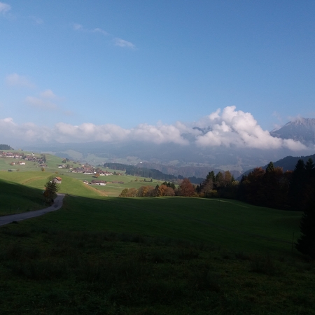 Hundetreffen 2016 im Allgäu (1)